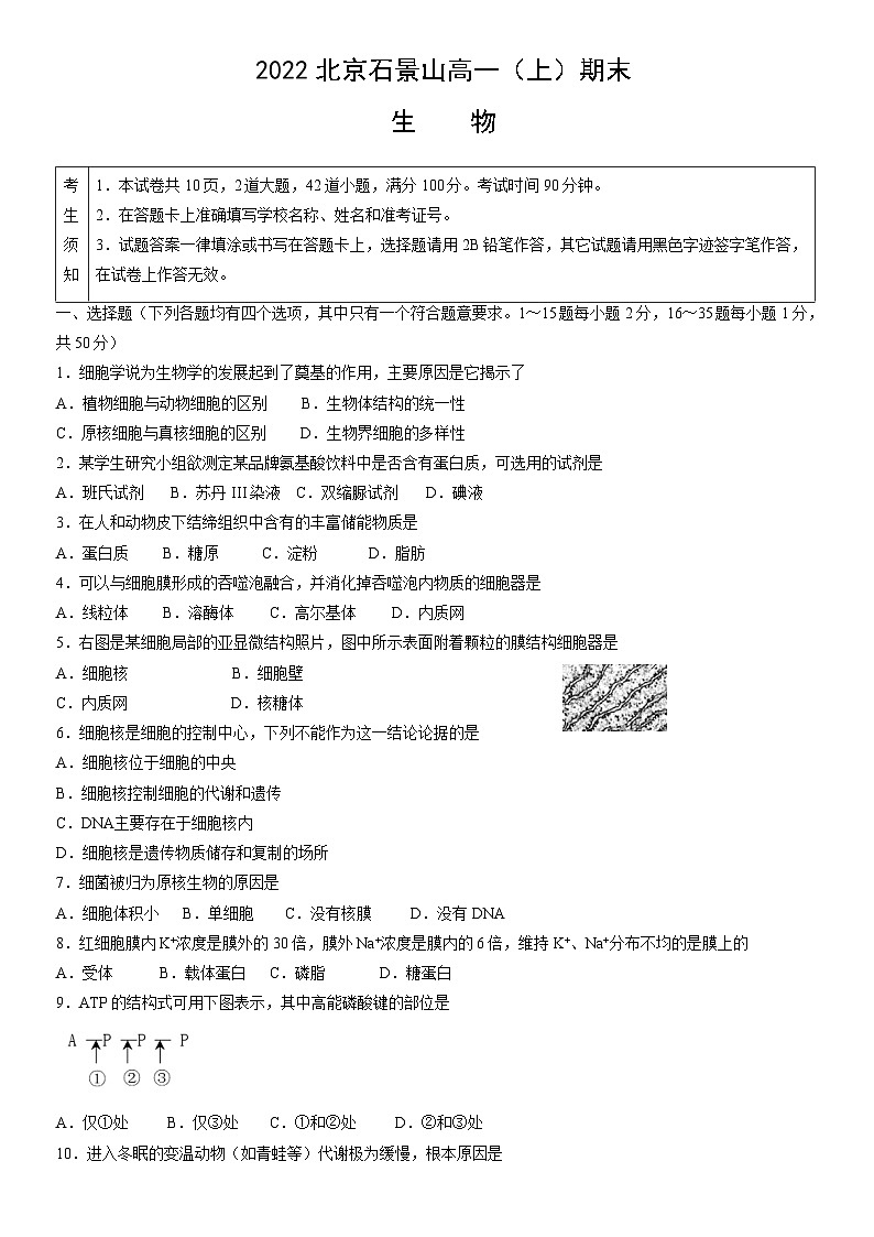 2022北京石景山高一(上)期末生物(教师版)第1页