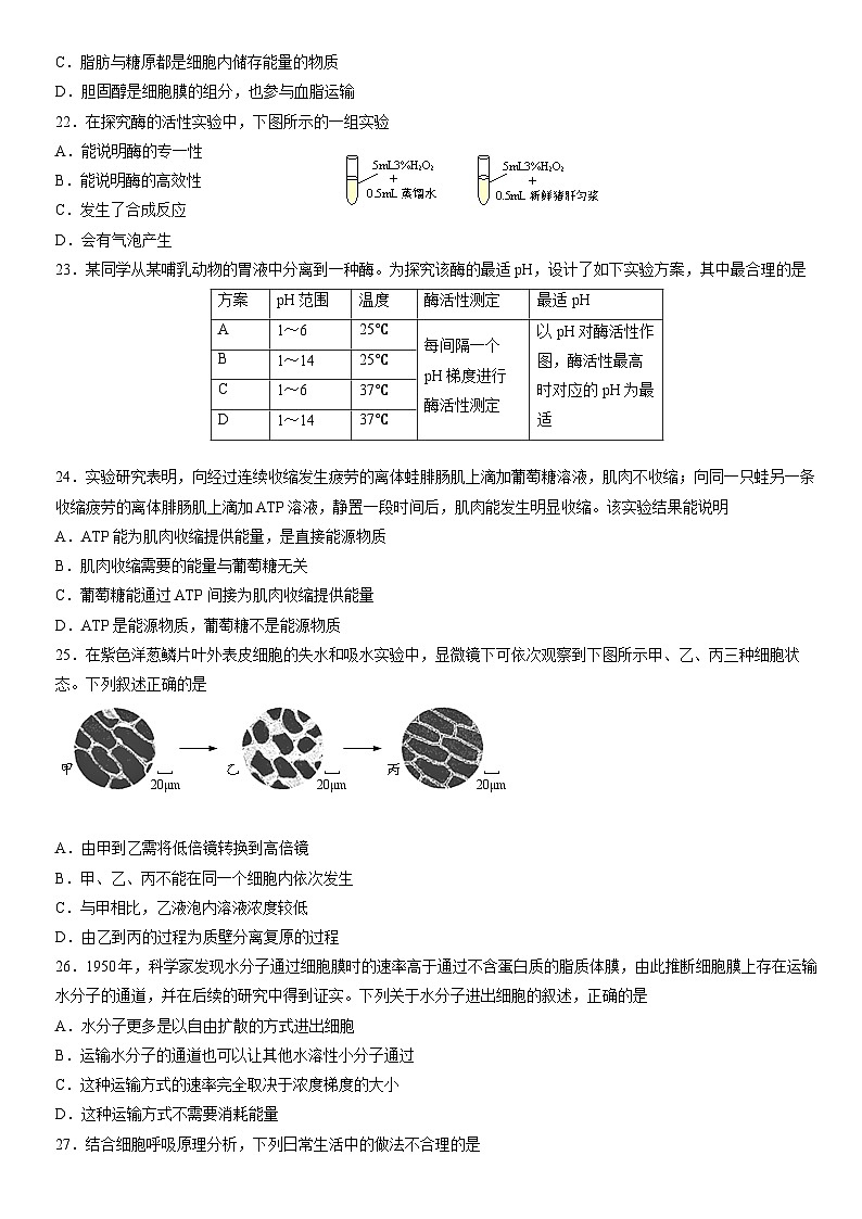 2022北京石景山高一(上)期末生物(教师版)第3页