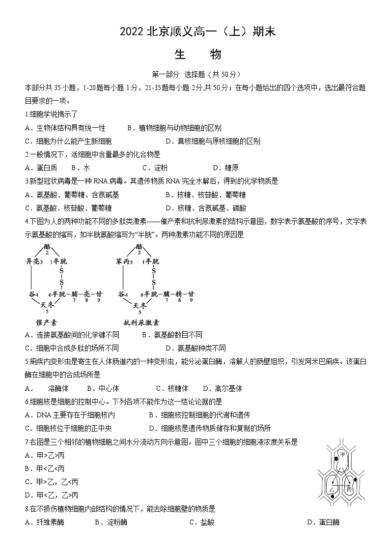 2022北京顺义高一(上)期末生物(教师版)第1页