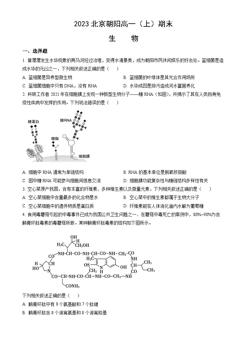 2023北京朝阳高一(上)期末生物(教师版) 试卷01