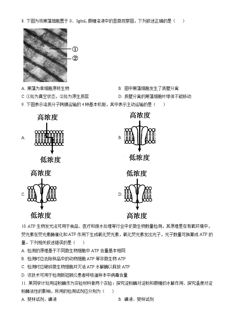 2023北京朝阳高一(上)期末生物(教师版) 试卷03