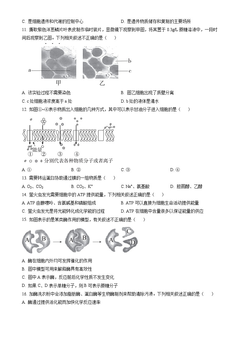 2023北京东城高一(上)期末生物(教师版)第2页