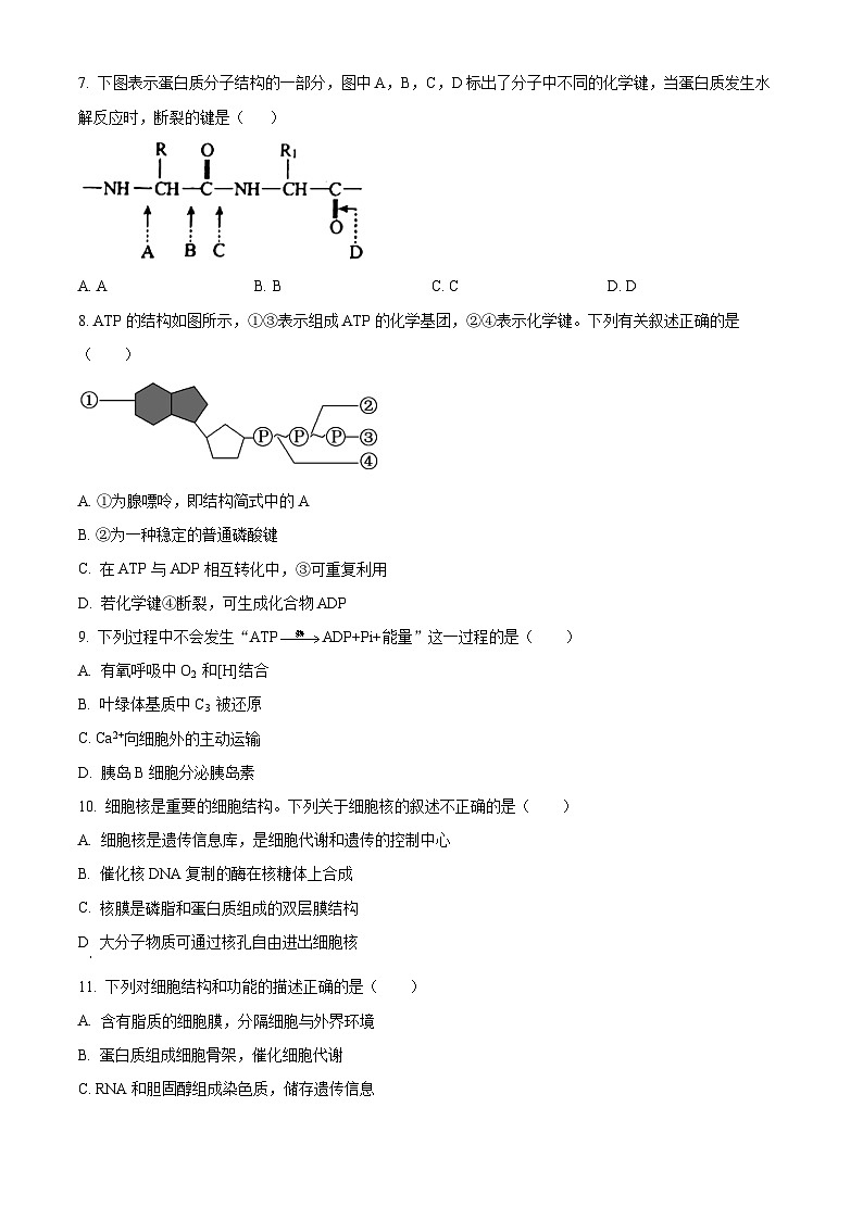 2023北京人大附中高一(上)期末生物(教师版)第2页
