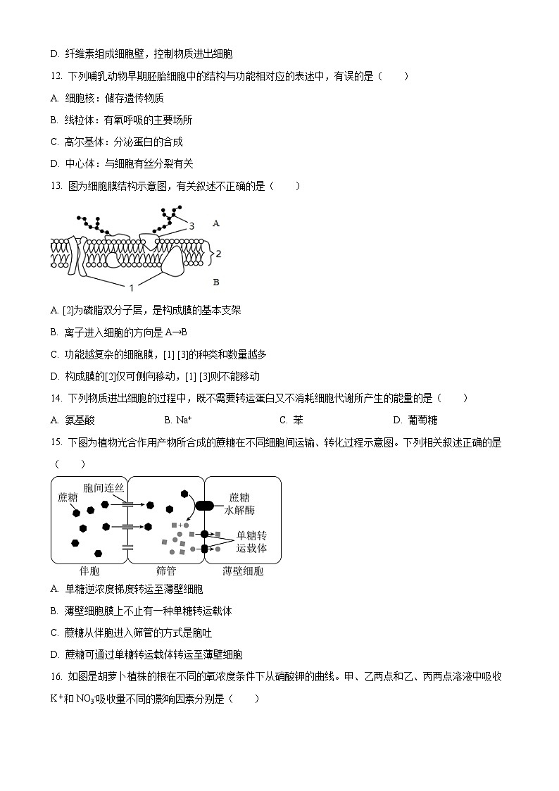 2023北京人大附中高一(上)期末生物(教师版)第3页
