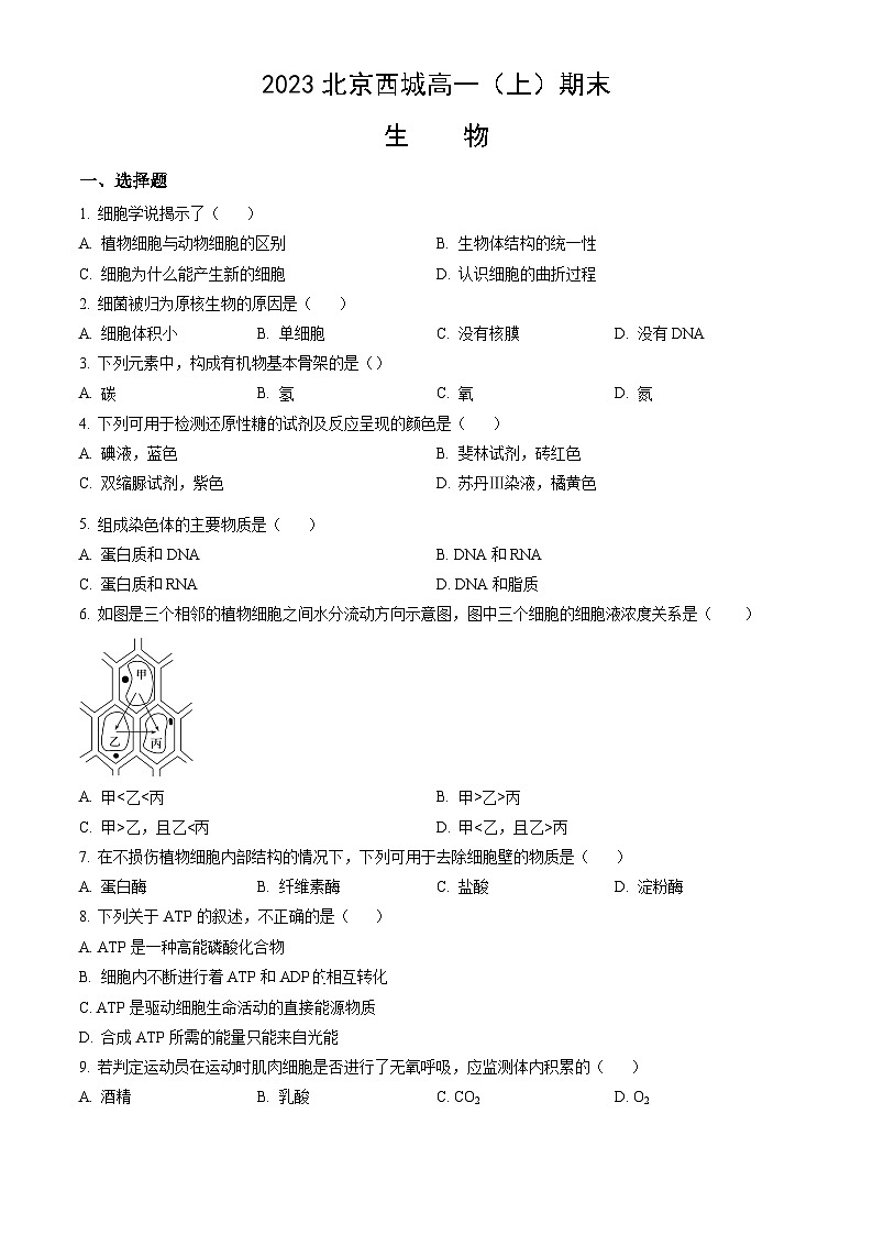 2023北京西城高一(上)期末生物(教师版)第1页