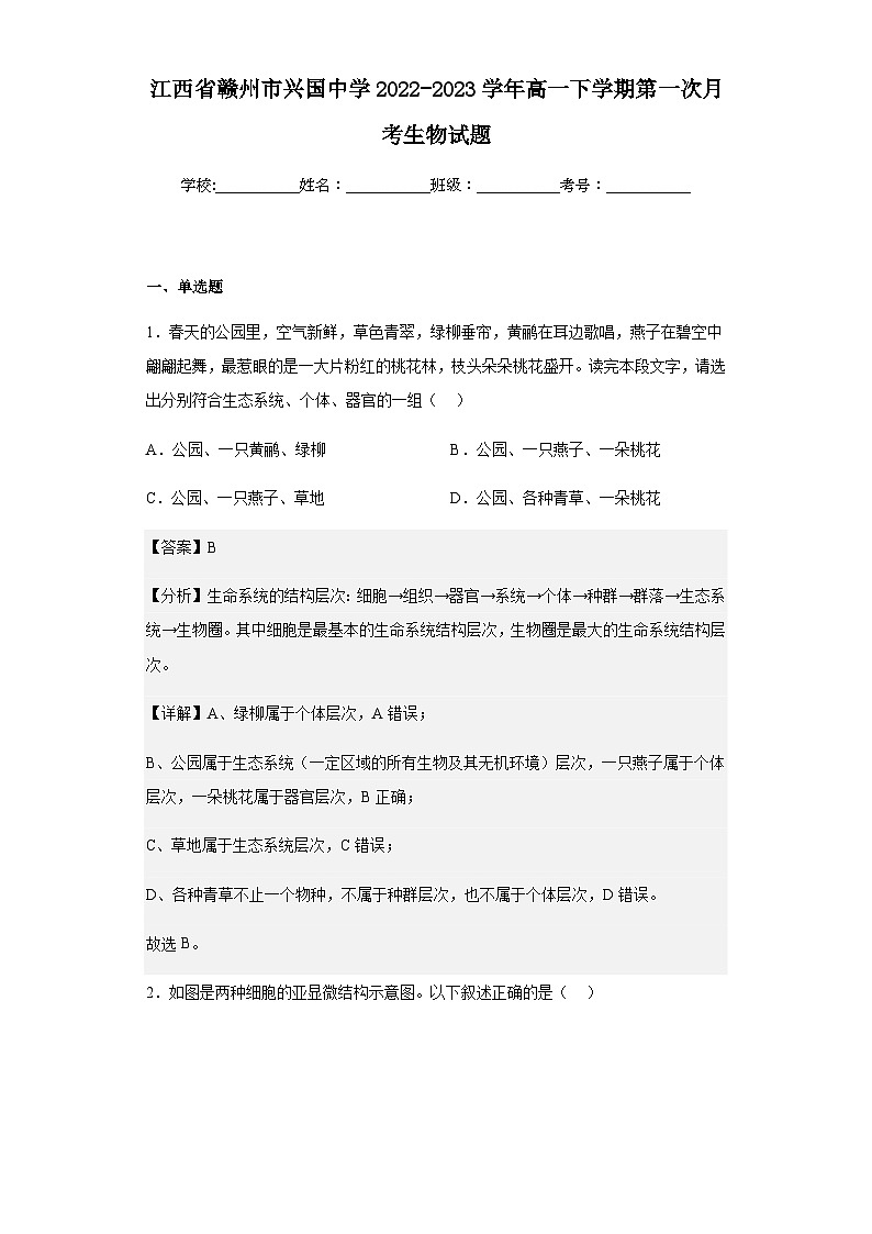 2022-2023学年江西省赣州市兴国中学高一下学期第一次月考生物试题含解析01