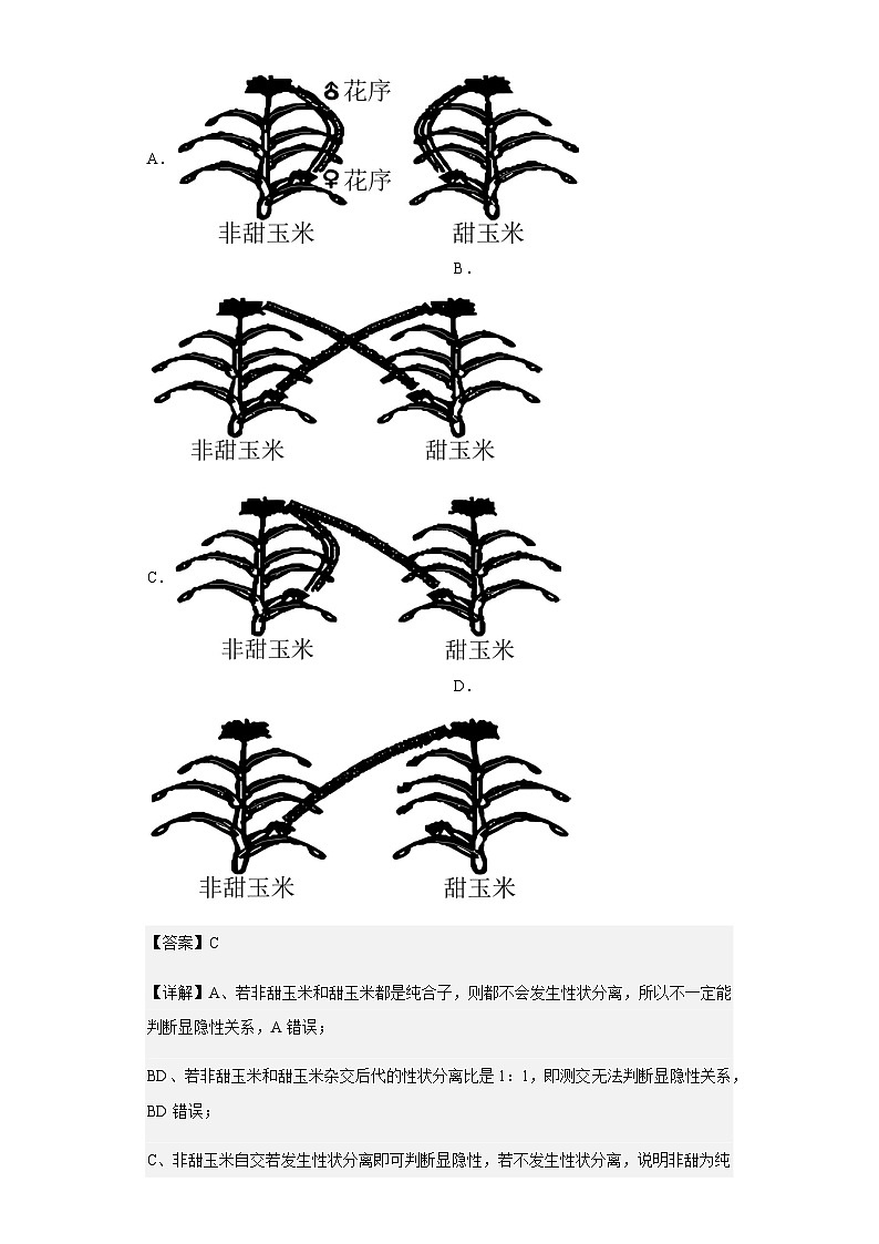 2022-2023学年山东省济宁市嘉祥县一中高一下学期第一次月考生物试题含解析02