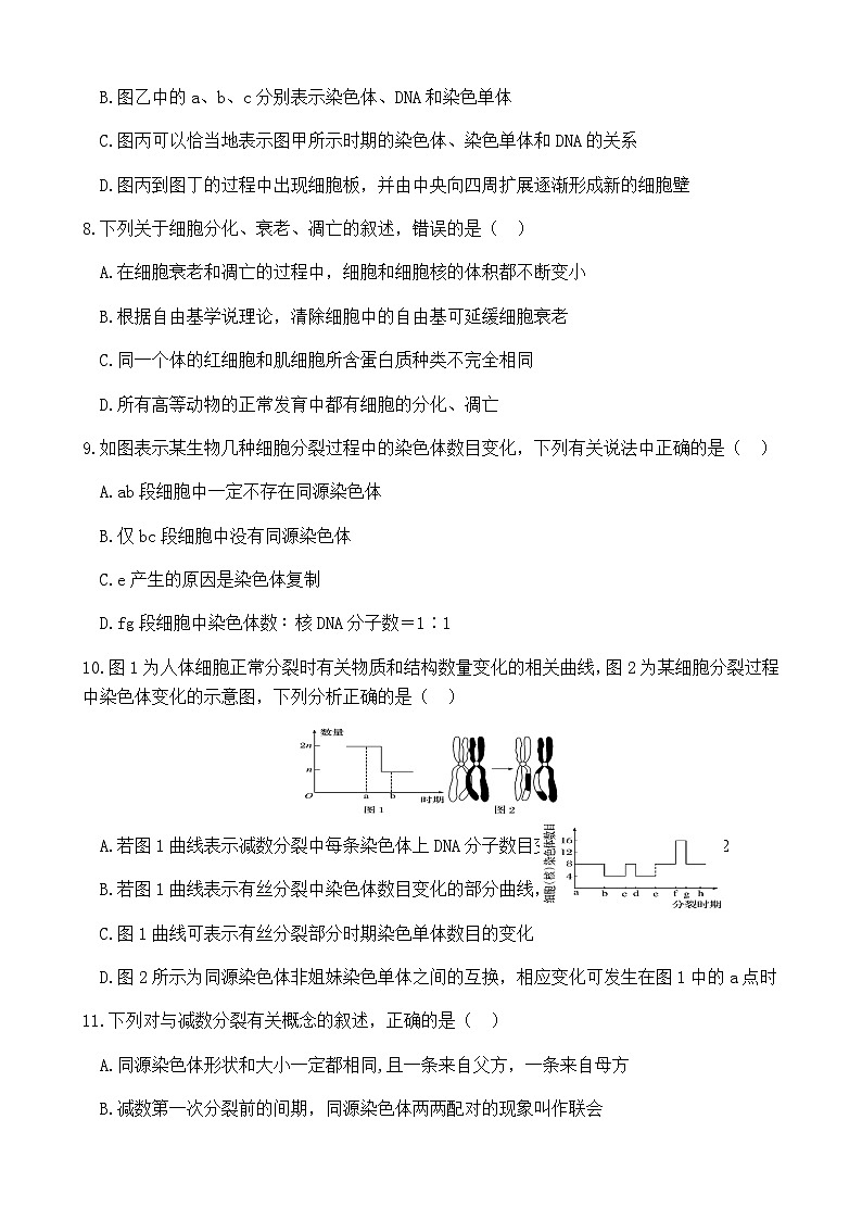 2022-2023学年四川省射洪中学高一下学期5月月考试题生物第3页