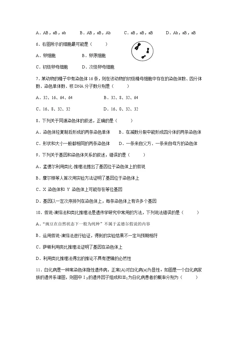 2022-2023学年广东省湛江市第二十一中学高一下学期期中考试（学考）生物试题含答案02
