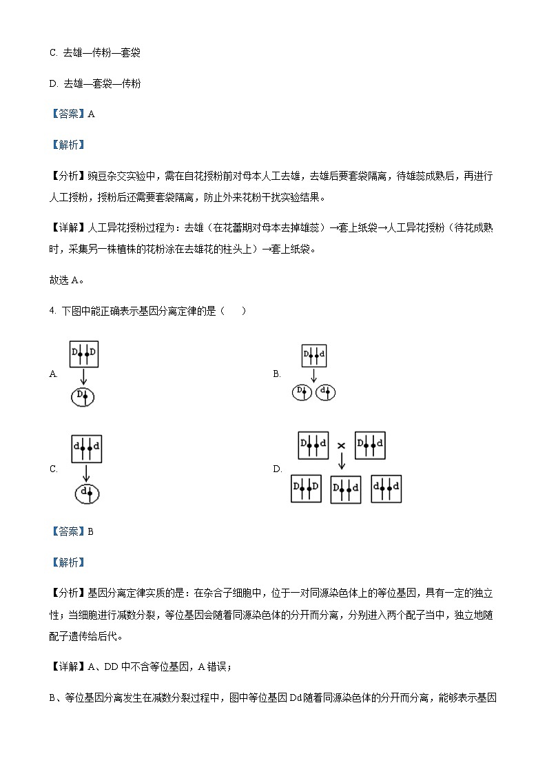 2022-2023学年海南省儋州市第二中学高一下学期期中检测生物(合格性)试题含解析02