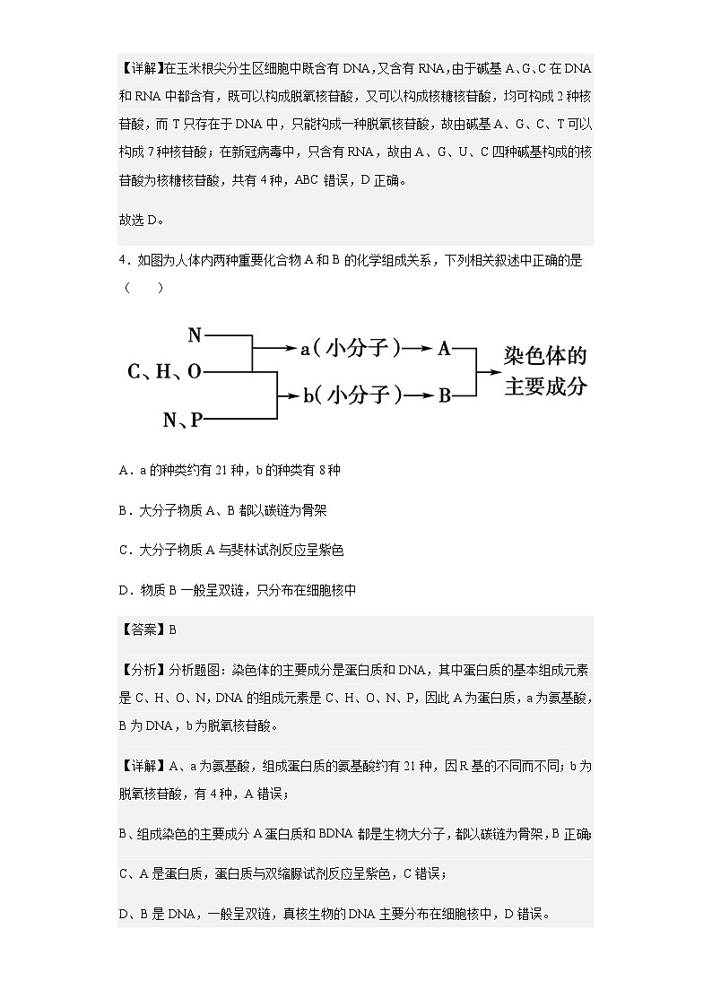 2022-2023学年福建省龙岩市高一上学期期末教学质量检查生物试题含解析03