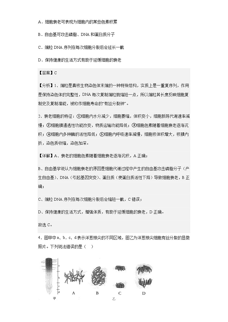 2022-2023学年安徽省马鞍山市当涂县一中高一下学期第一次阶段考试生物试题含解析第3页