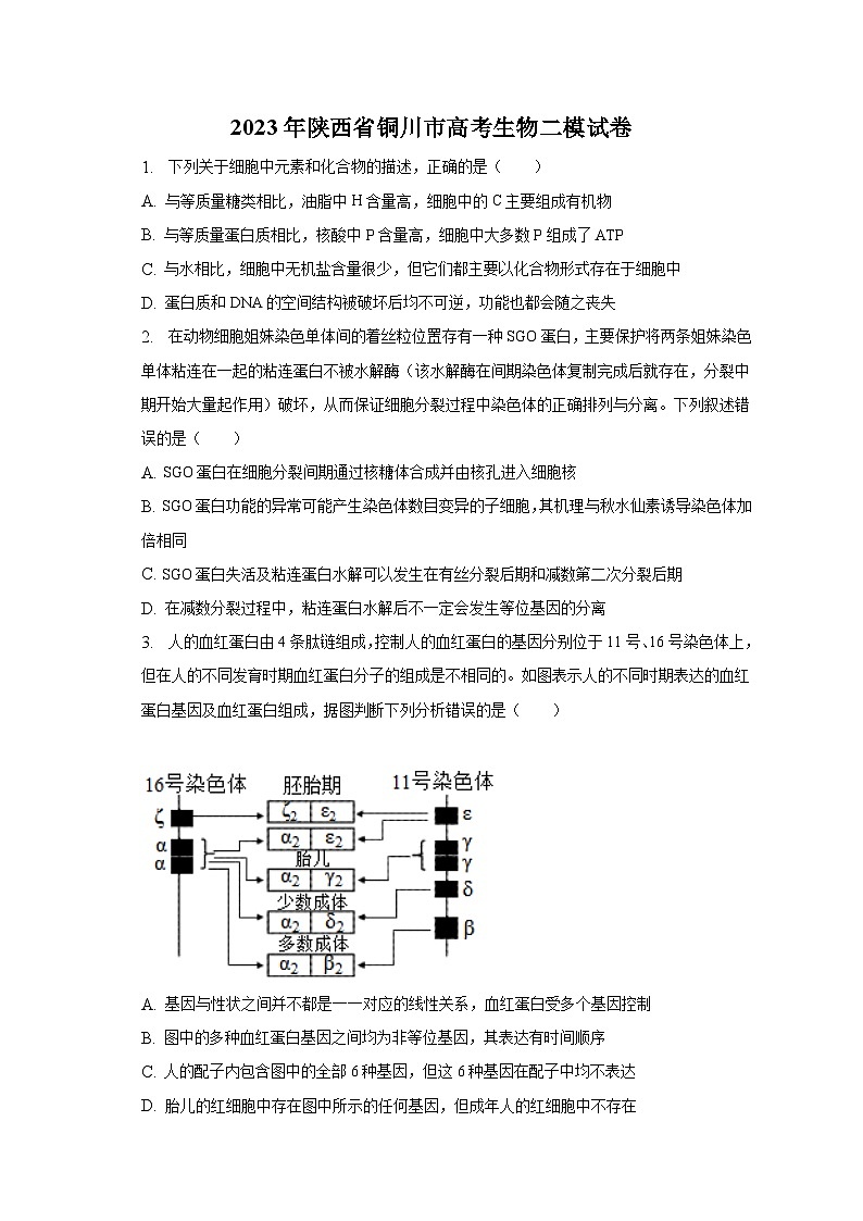 2023年陕西省铜川市高考生物二模试卷01