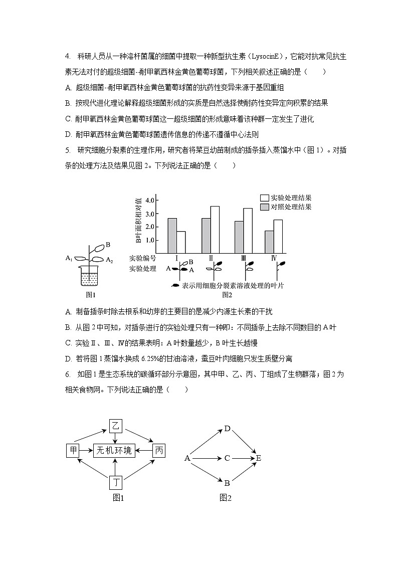 2023年陕西省铜川市高考生物二模试卷02
