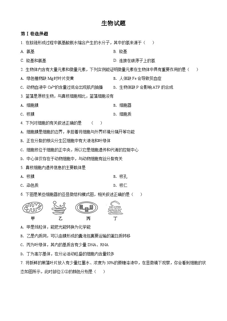 精品解析：天津市濱海新區(qū)大港太平村中學高一下學期期末質(zhì)量檢測生物試題（原卷版）第1頁