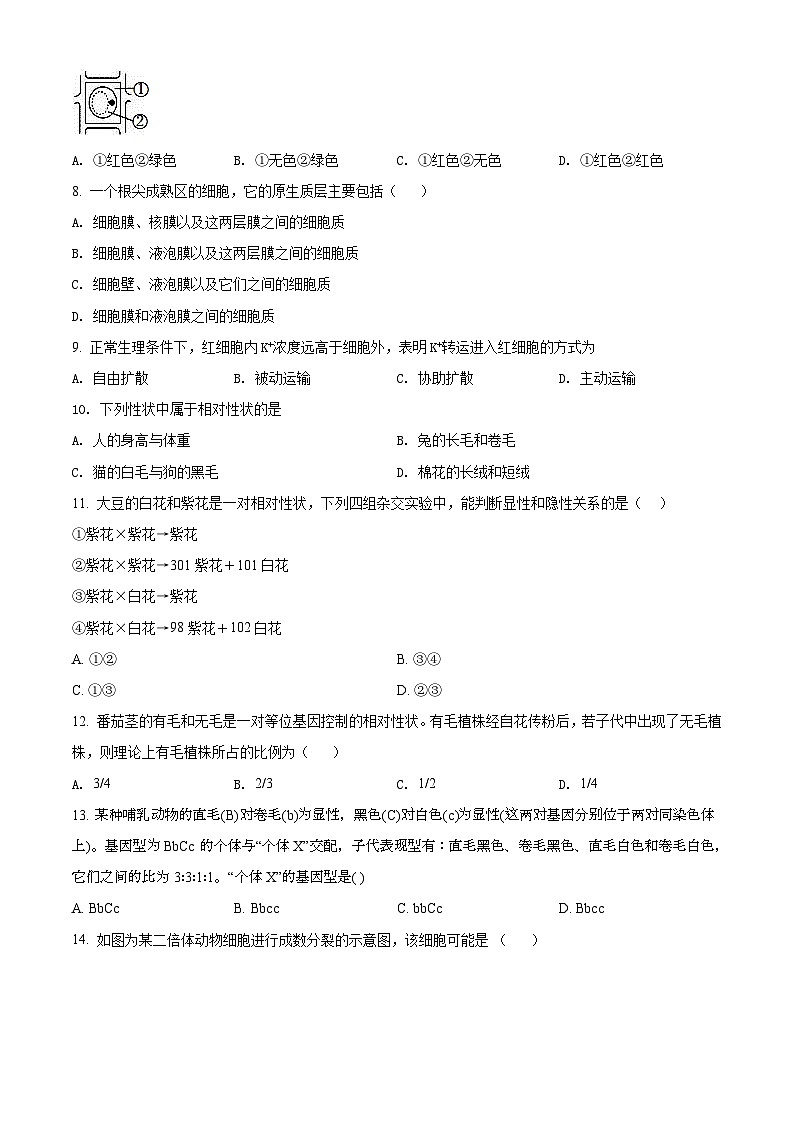 精品解析：天津市濱海新區(qū)大港太平村中學高一下學期期末質(zhì)量檢測生物試題（原卷版）第2頁