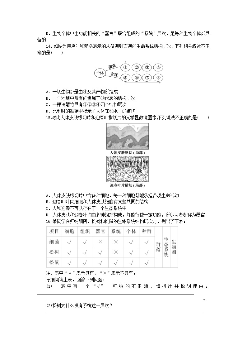 2023_2024学年新教材高中生物第1章走近细胞1.1细胞是生命活动的基本单位课时作业新人教版必修103