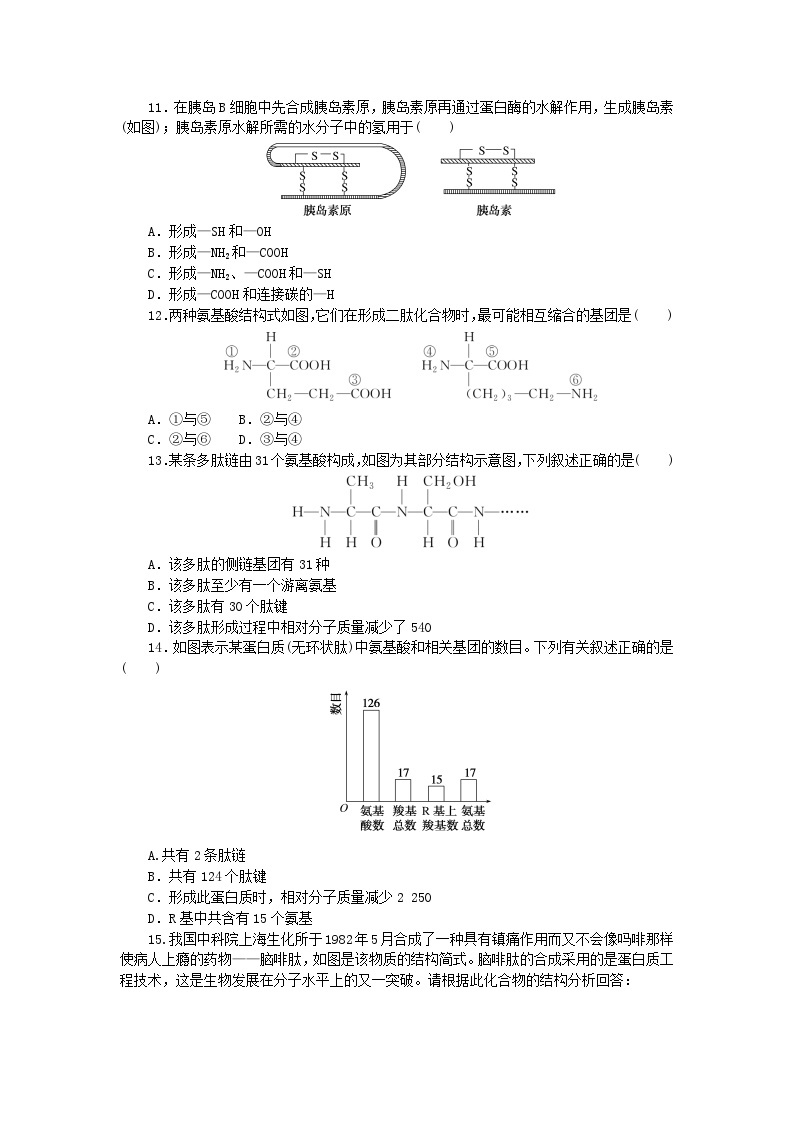 2023_2024学年新教材高中生物第2章组成细胞的分子2.4蛋白质是生命活动的主要承担者课时作业新人教版必修103