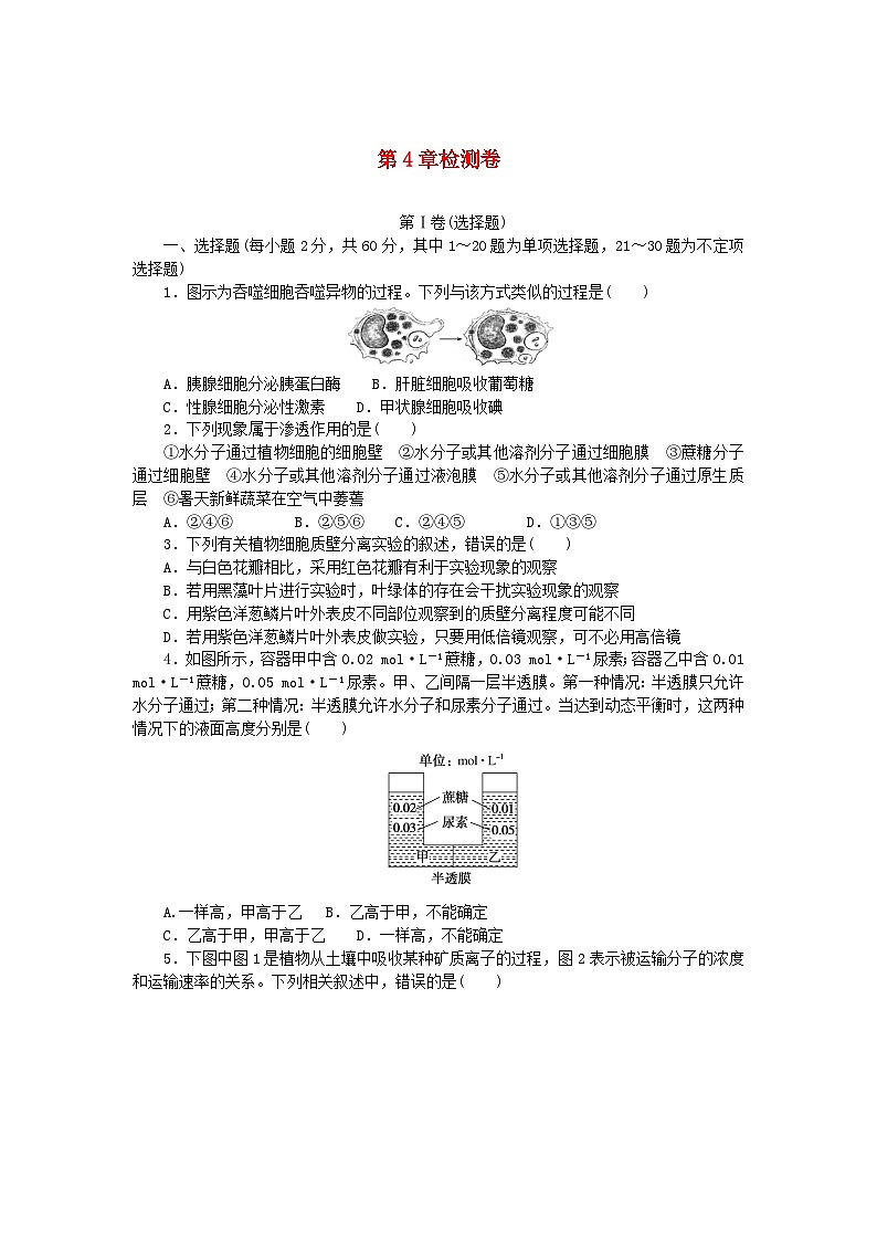 2023_2024學(xué)年新教材高中生物第4章細(xì)胞的物質(zhì)輸入和輸出檢測卷新人教版必修1第1頁