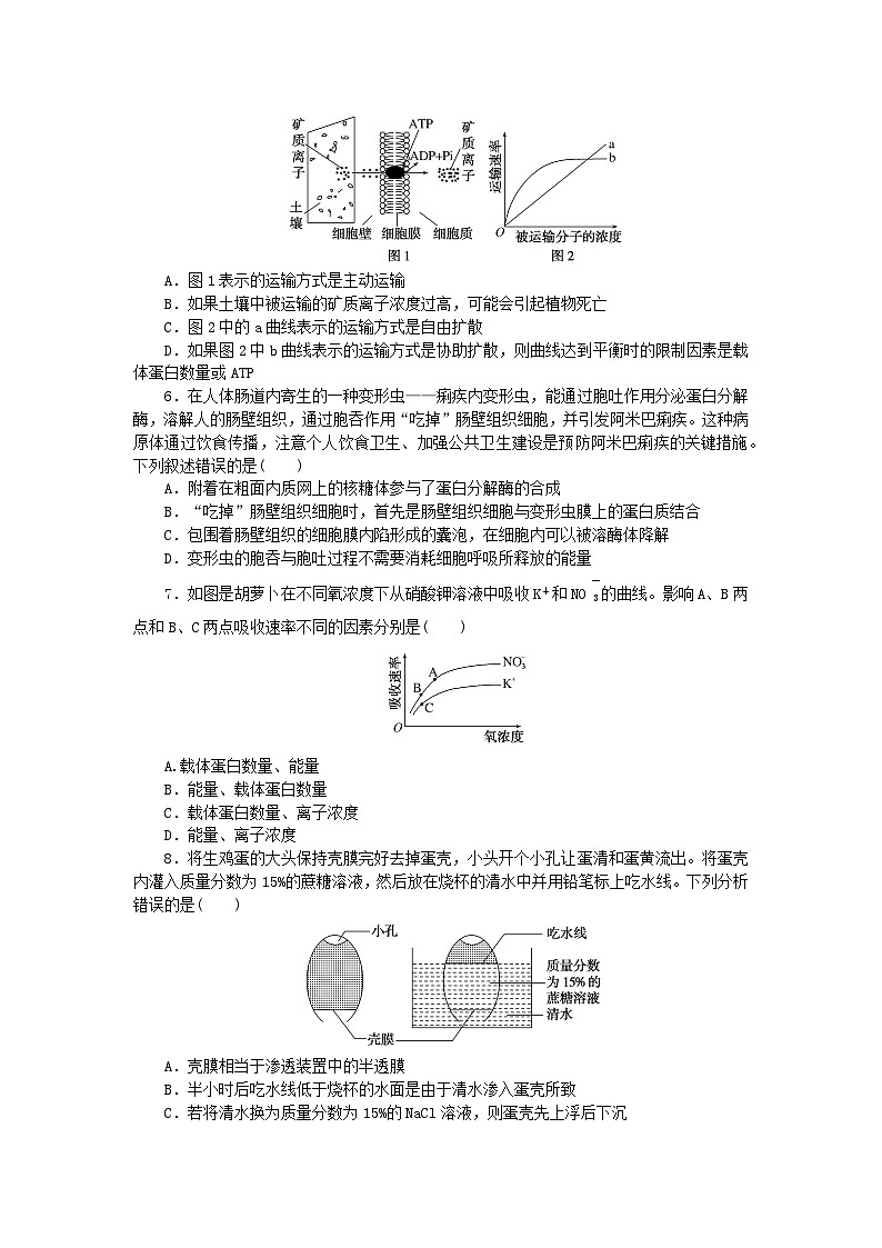 2023_2024學(xué)年新教材高中生物第4章細(xì)胞的物質(zhì)輸入和輸出檢測卷新人教版必修1第2頁