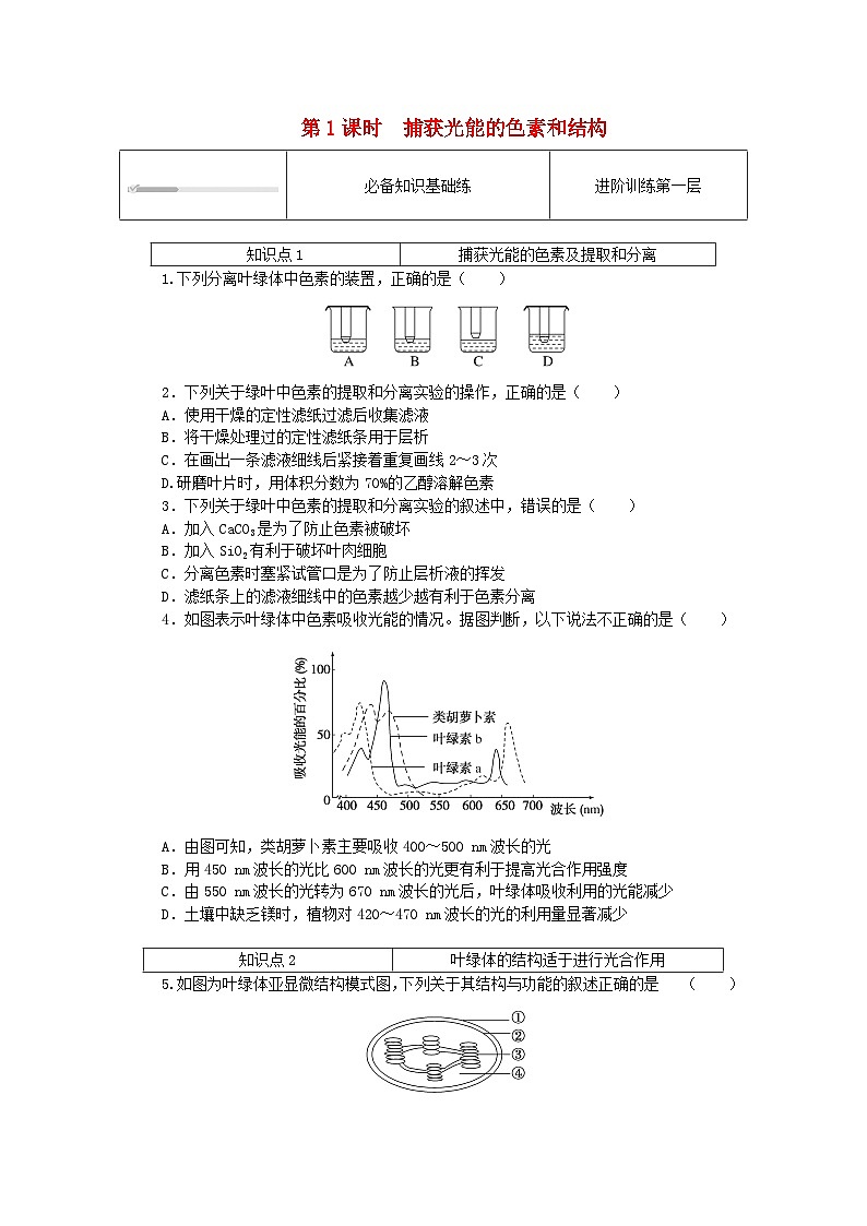 2023_2024學(xué)年新教材高中生物第5章細(xì)胞的能量供應(yīng)和利用5.4光合作用與能量轉(zhuǎn)化5.4.1捕獲光能的色素和結(jié)構(gòu)課時(shí)作業(yè)新人教版必修1第1頁