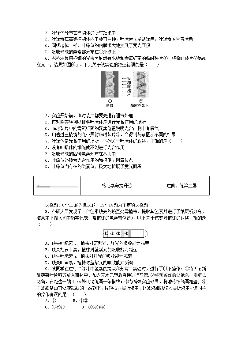 2023_2024學(xué)年新教材高中生物第5章細(xì)胞的能量供應(yīng)和利用5.4光合作用與能量轉(zhuǎn)化5.4.1捕獲光能的色素和結(jié)構(gòu)課時(shí)作業(yè)新人教版必修1第2頁