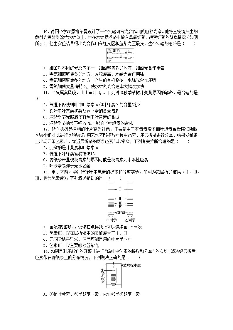 2023_2024學(xué)年新教材高中生物第5章細(xì)胞的能量供應(yīng)和利用5.4光合作用與能量轉(zhuǎn)化5.4.1捕獲光能的色素和結(jié)構(gòu)課時(shí)作業(yè)新人教版必修1第3頁