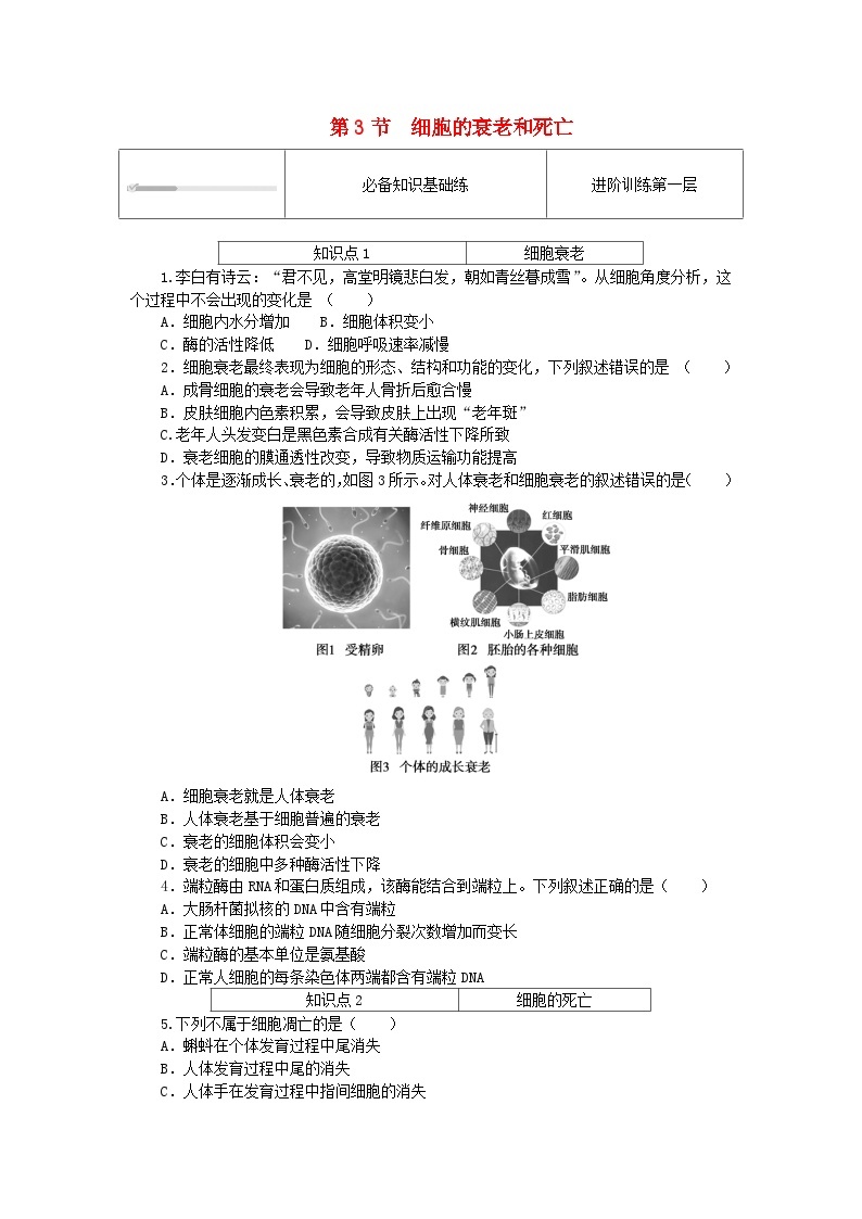 2023_2024学年新教材高中生物第6章细胞的生命历程6.3细胞的衰老和死亡课时作业新人教版必修101