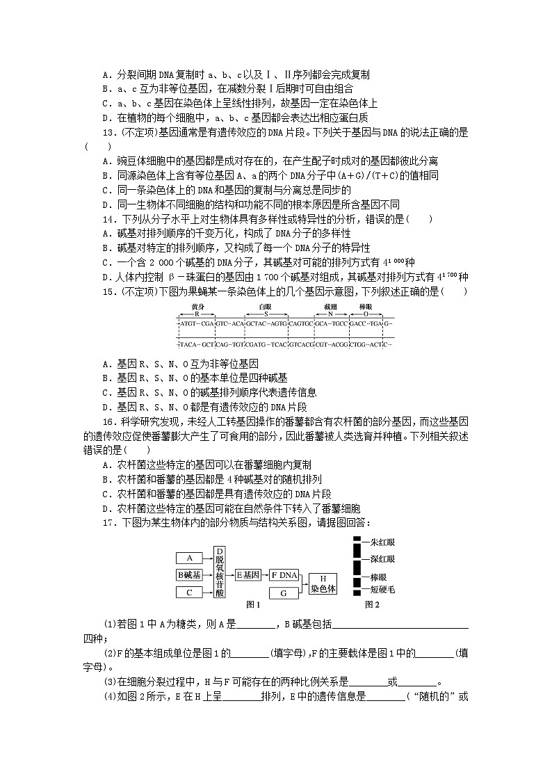 2023版新教材高中生物第3章基因的本质第4节基因通常是有遗传效应的DNA片段课时作业新人教版必修2第3页