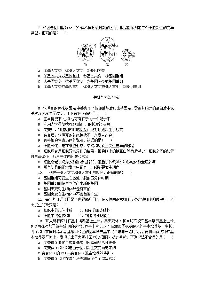 2023版新教材高中生物第5章基因突变及其他变异第1节基因突变和基因重组课时作业新人教版必修202