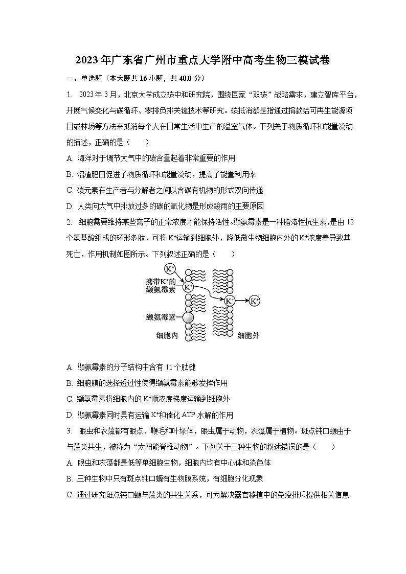 2023年广东省广州市重点大学附中高考生物三模试卷第1页