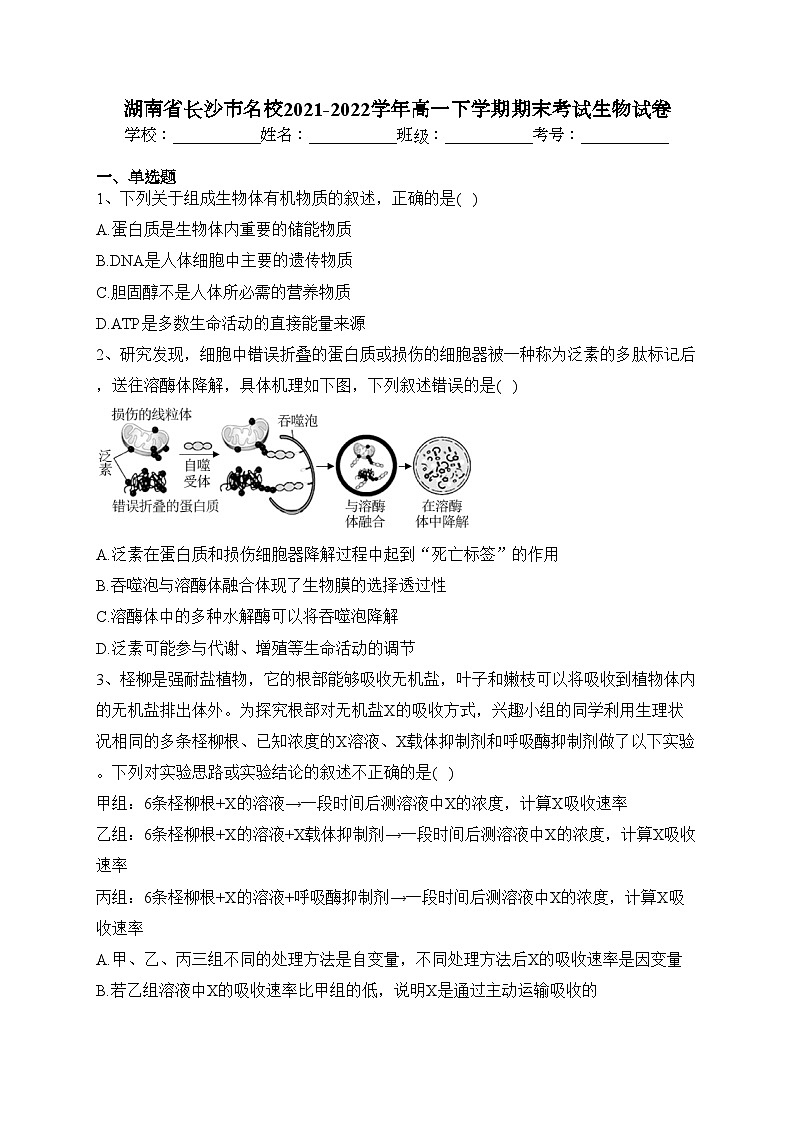 湖南省长沙市名校2021-2022学年高一下学期期末考试生物试卷(含答案)01