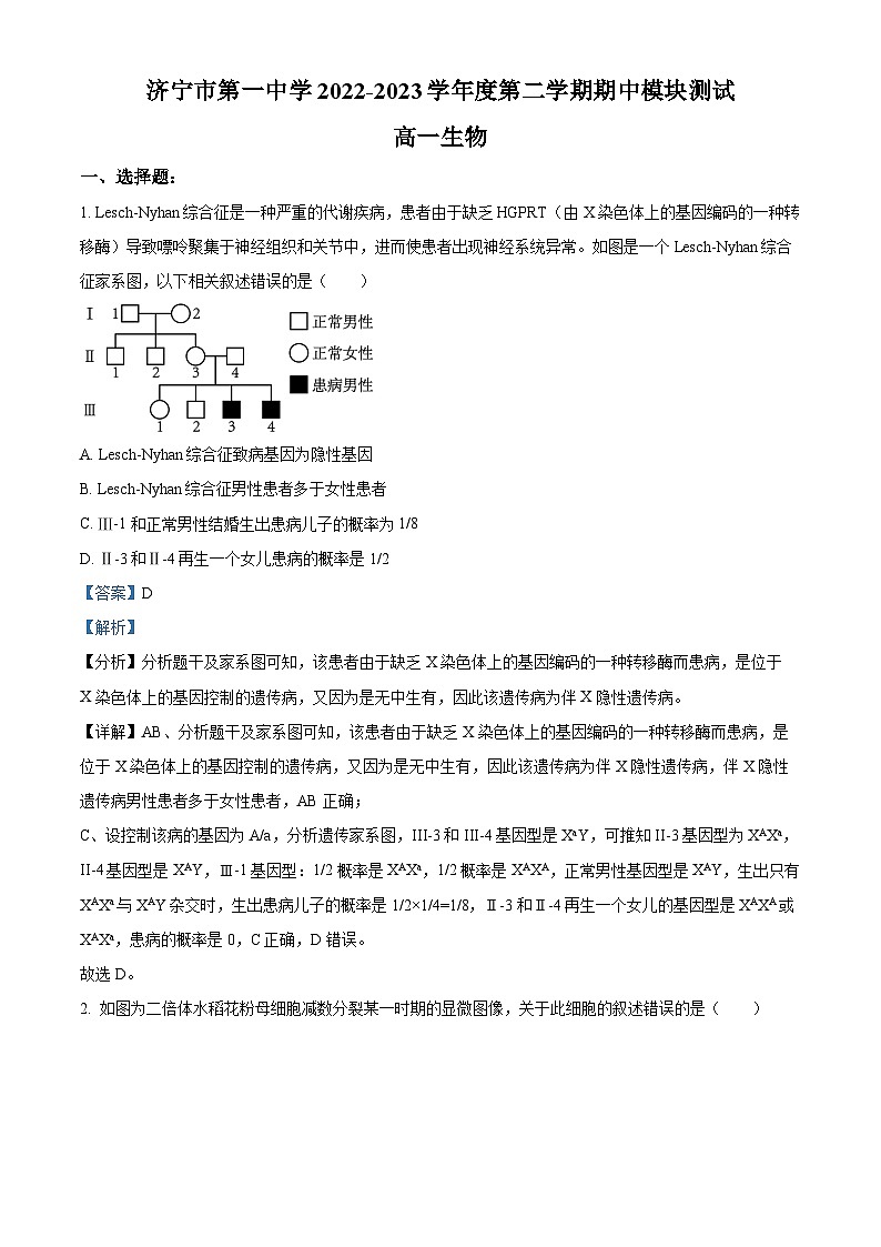精品解析:山东省济宁市一中2022-2023学年高一下学期期中生物试题(解析版)01