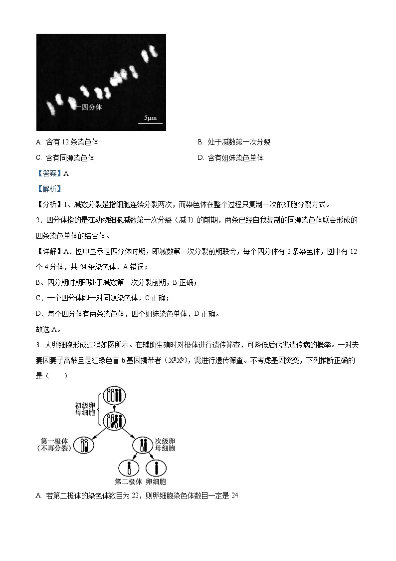 精品解析:山东省济宁市一中2022-2023学年高一下学期期中生物试题(解析版)02