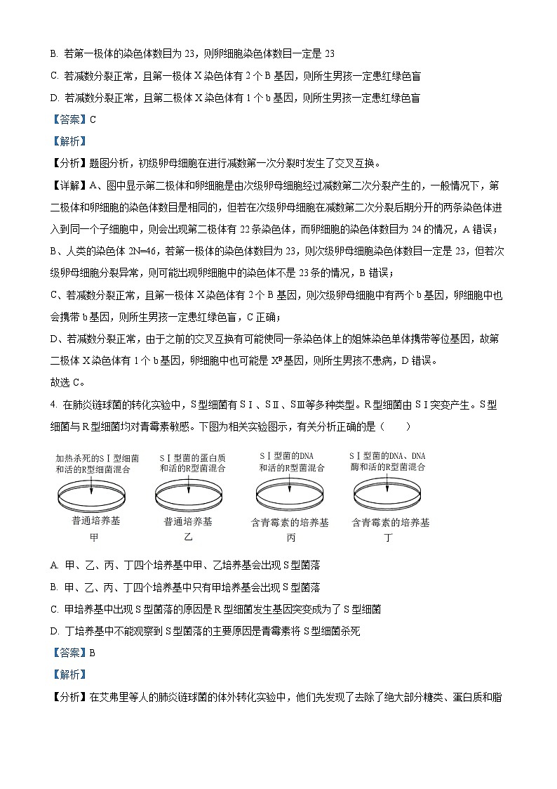 精品解析:山东省济宁市一中2022-2023学年高一下学期期中生物试题(解析版)03