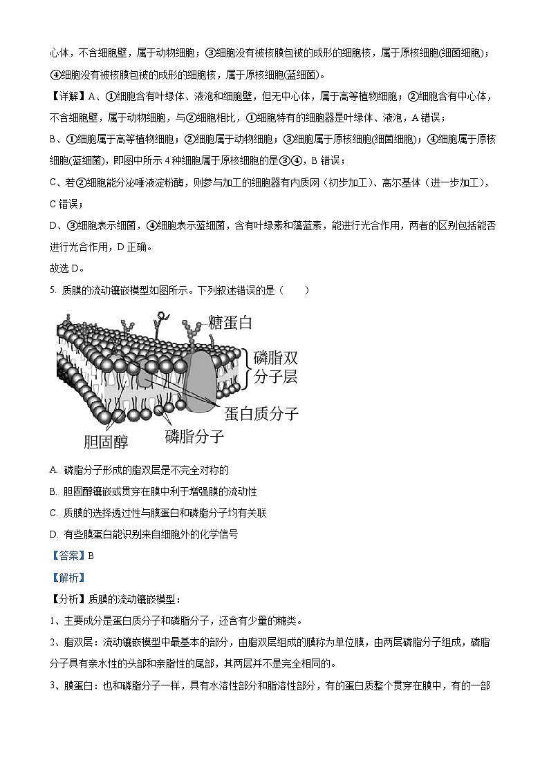 精品解析:浙江省北斗联盟2022-2023学年高一下学期期中联考生物试题(解析版)第3页