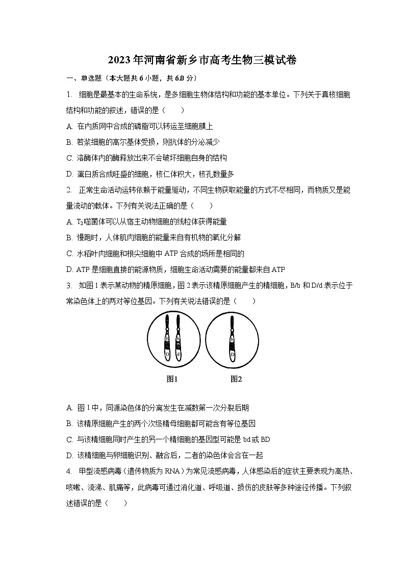 2023年河南省新乡市高考生物三模试卷(含解析)01