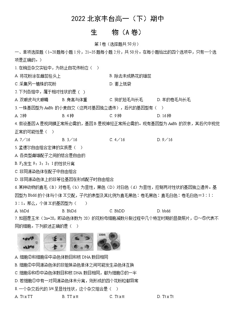 2022北京丰台高一(下)期中生物(A卷)(教师版)第1页