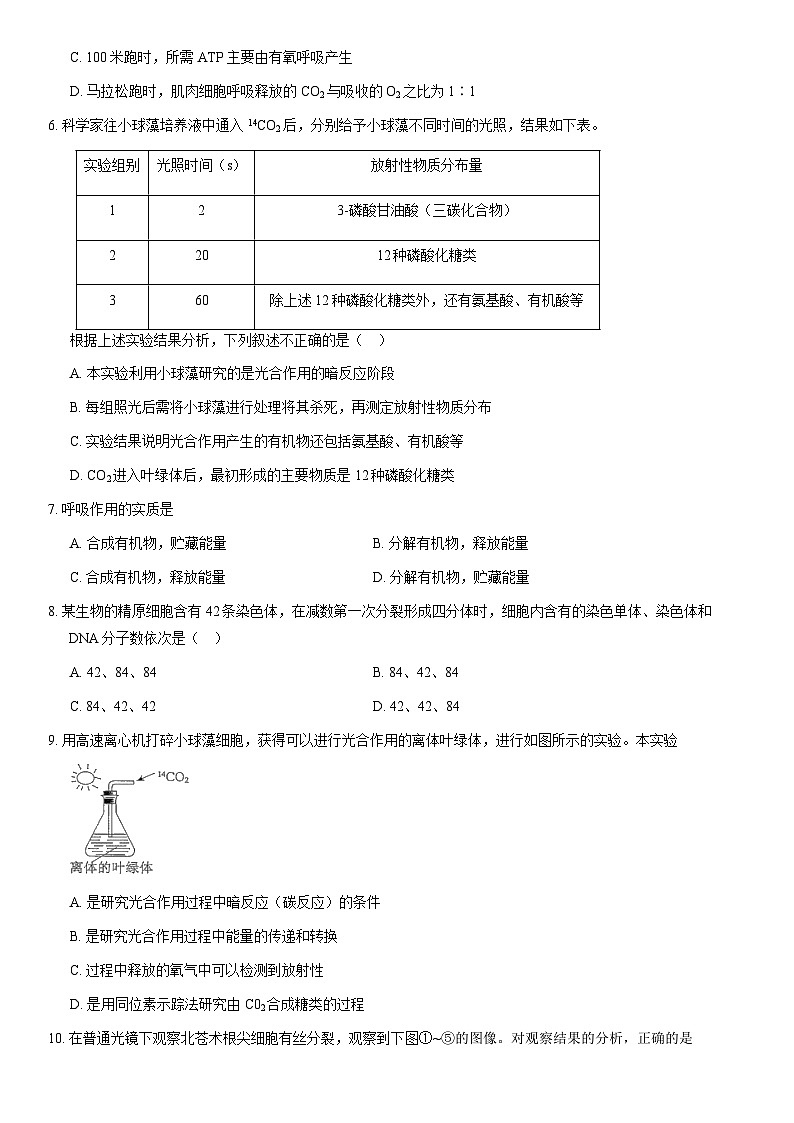 2020北京延庆一中高一(下)期中生物(教师版) 试卷02