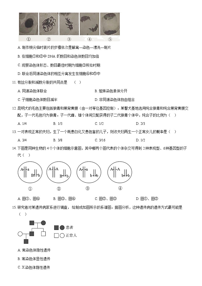 2020北京延庆一中高一(下)期中生物(教师版) 试卷03