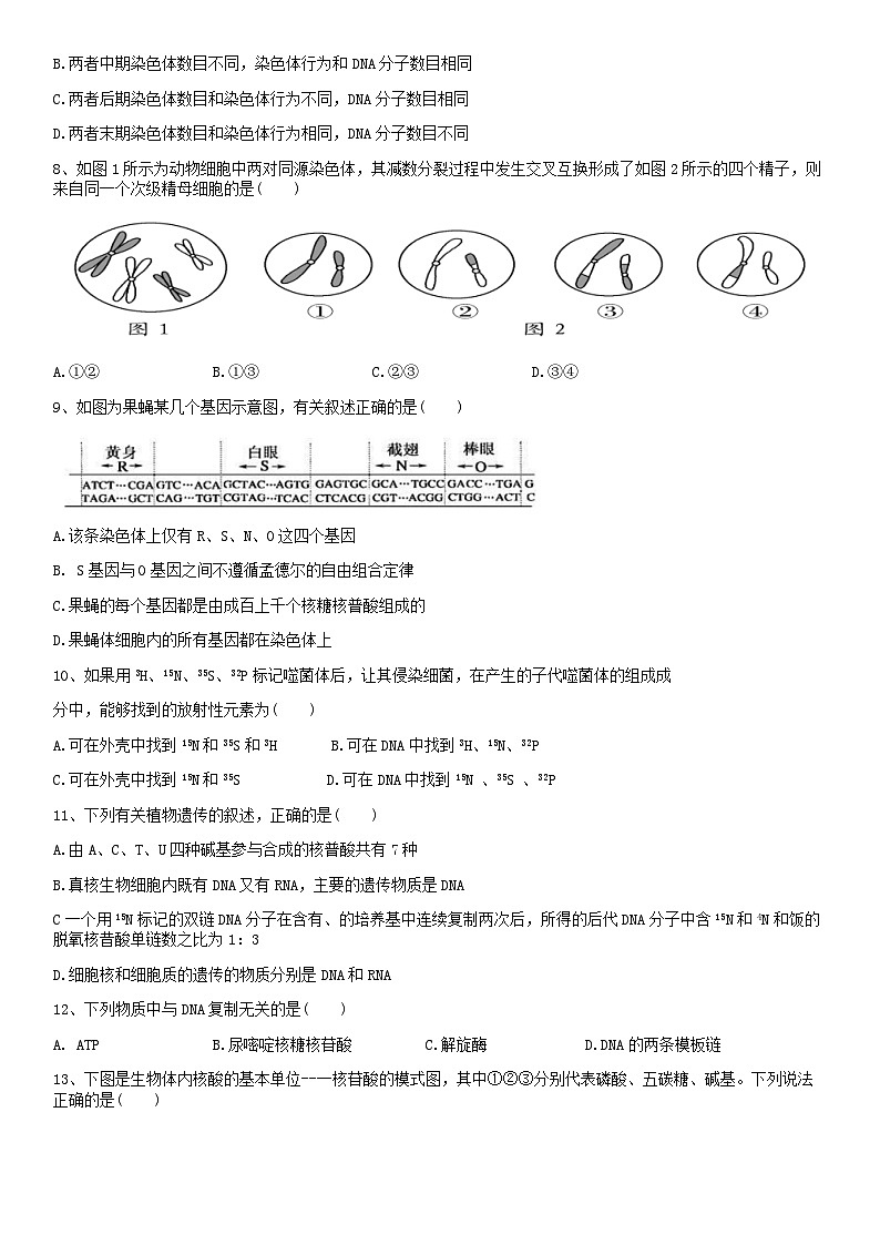 2018北京临川学校高一(下)期中生物含答案 试卷02