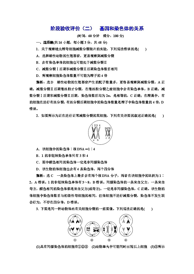 人教版高中生物必修2阶段验收评价(二)基因和染色体的关系含答案第1页