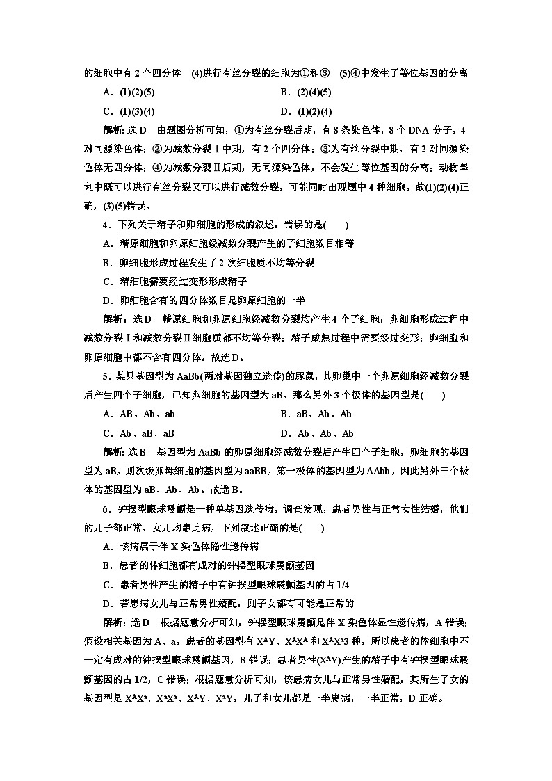 人教版高中生物必修2阶段验收评价(二)基因和染色体的关系含答案第2页