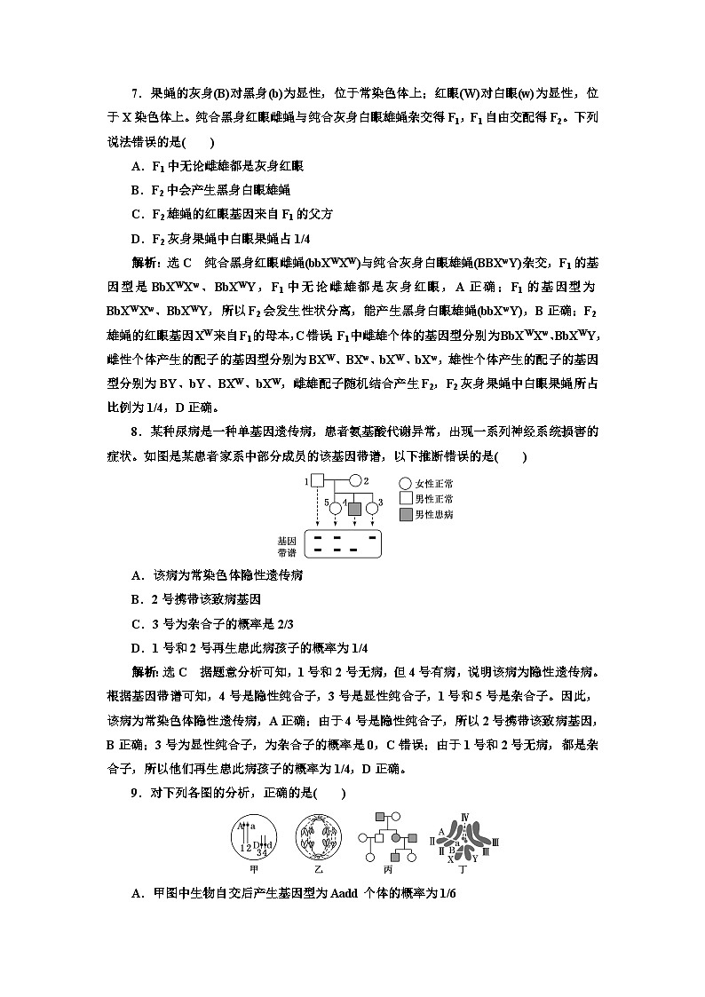 人教版高中生物必修2阶段验收评价(二)基因和染色体的关系含答案第3页
