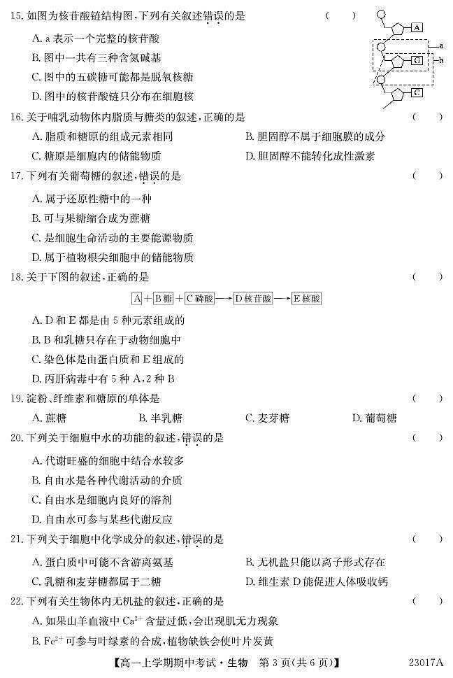 2022-2023学年广东省深圳市6校联盟高一上学期期中(11月)生物试题 PDF版第3页