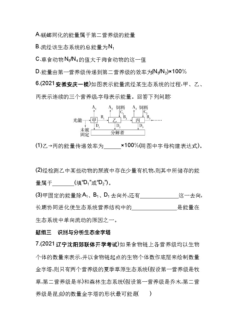 2023版高中同步新教材选择性必修2人教生物 第3章 生态系统及其稳定性 第2节 生态系统的能量流动第3页