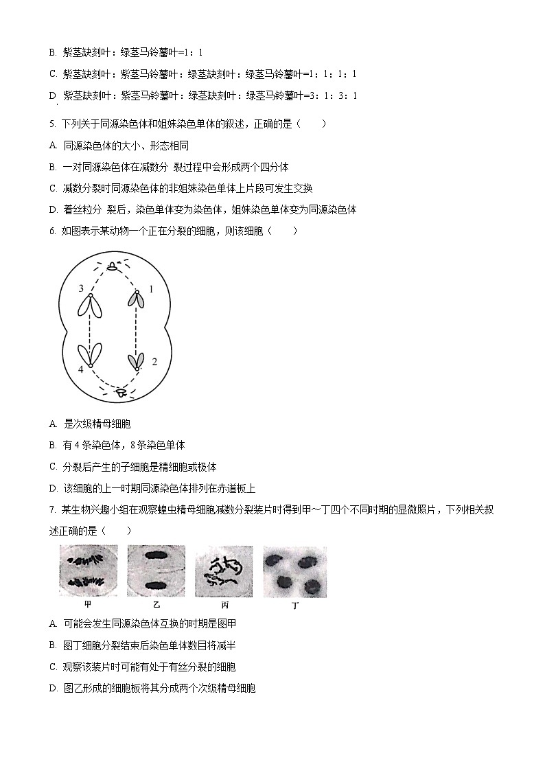 河北省承德市重点高中2022-2023学年高一生物下学期期中联考试题(Word版附答案)第2页