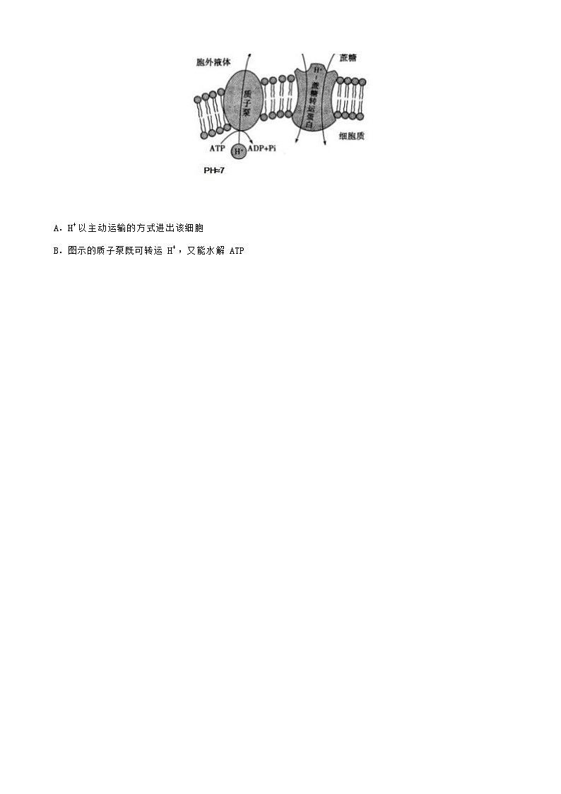 湖北省云学新高考联盟2022-2023学年高一生物下学期5月联考试题(Word版附答案)第2页