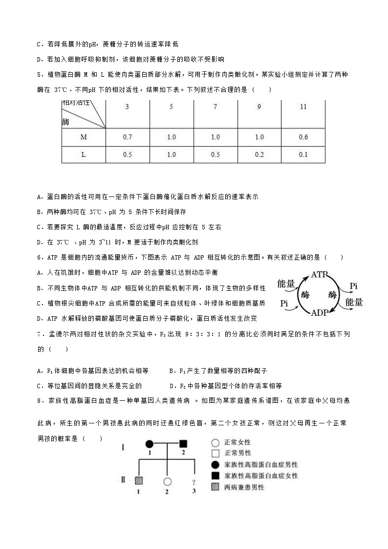 湖北省云学新高考联盟2022-2023学年高一生物下学期5月联考试题(Word版附答案)第3页