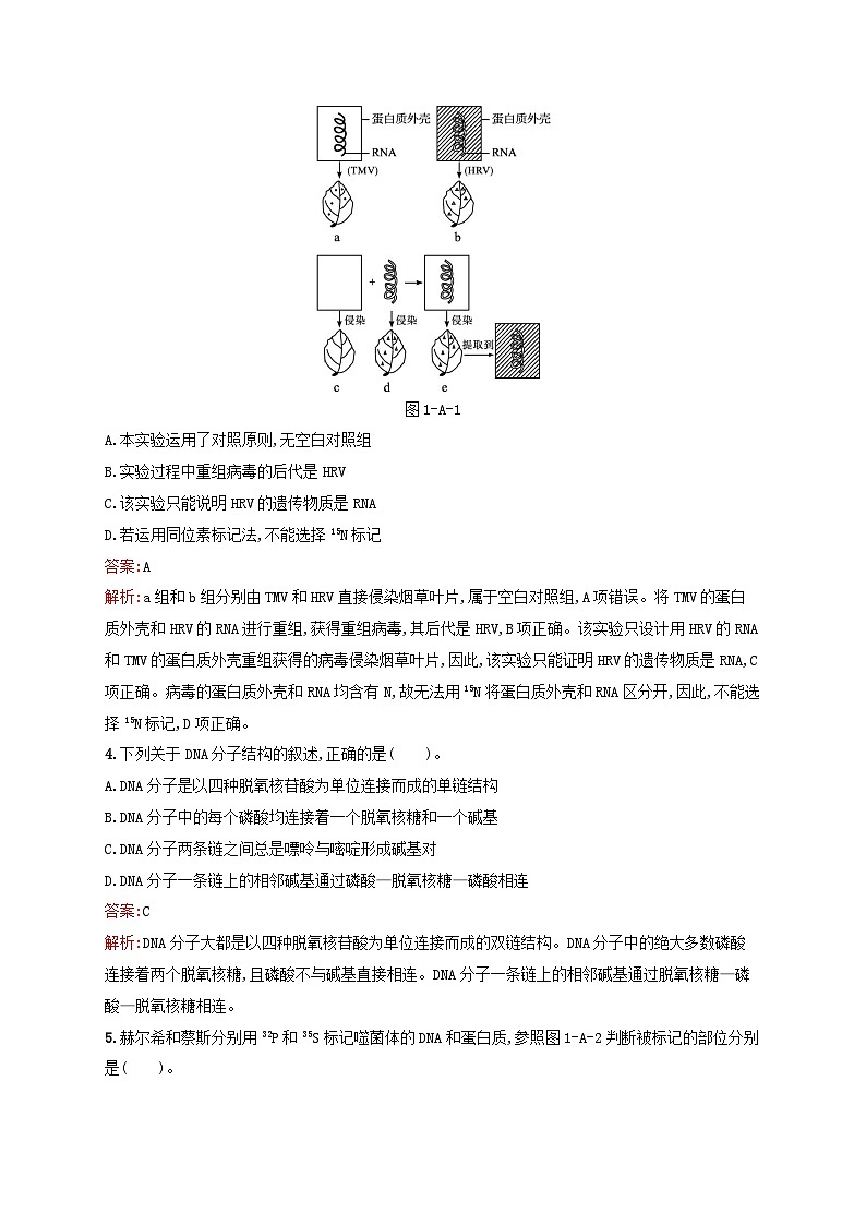 新教材适用2023年高中生物第1章遗传信息的分子基础测评A北师大版必修2第2页